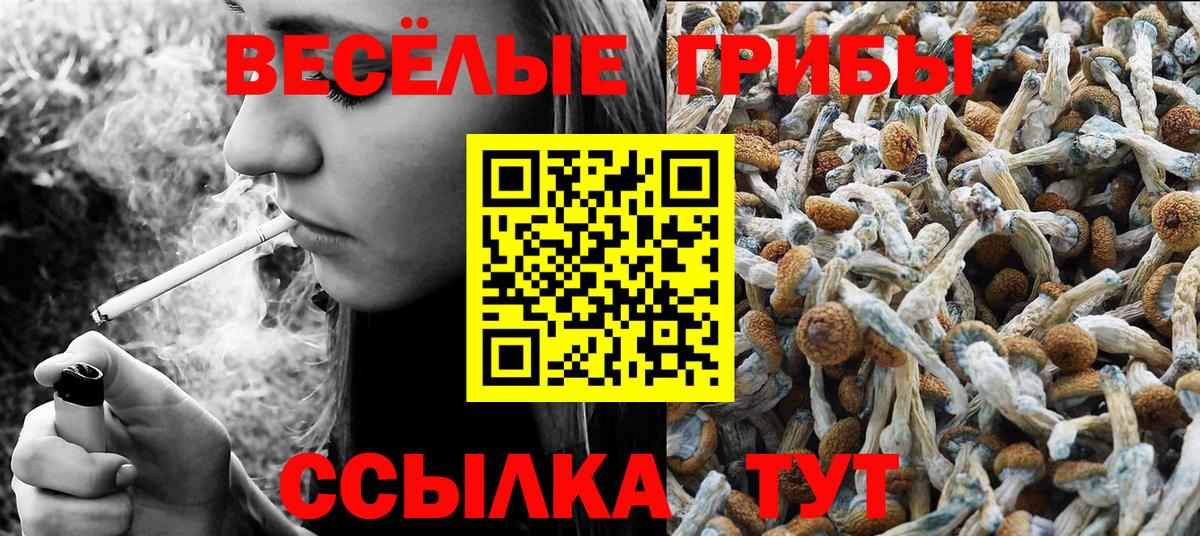 Дятьково  где можно купить   Вход с VPN  Псилоцибиновые грибы Cubensis 